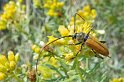 100_2457_edited-1