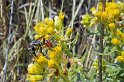 100_2458_edited-1
