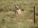 100_2469_edited-1