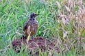 100_2475_edited-1
