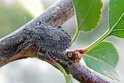 100_2518_edited-1
