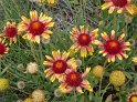 100_2543_edited-1