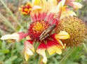 100_2545_edited-1