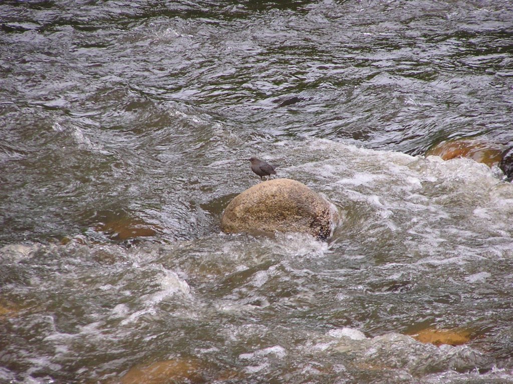b0001196.jpg