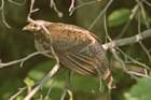 img0098_edited_small.jpg