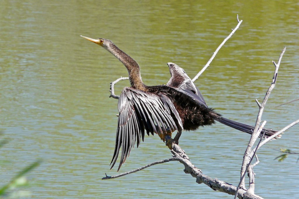 p1000665_edited.jpg