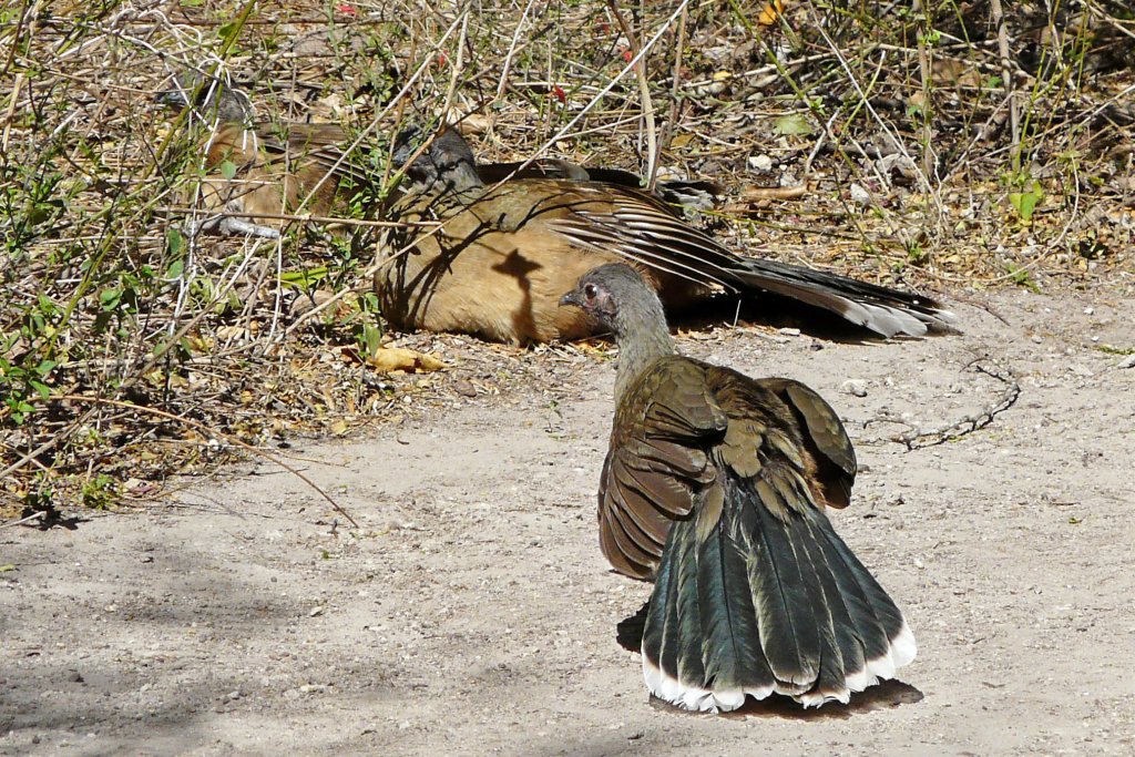 p1000681_edited.jpg