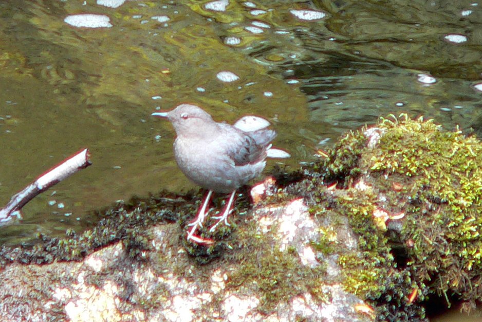 p1010755_edited.jpg