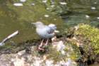 p1010755_edited_small.jpg