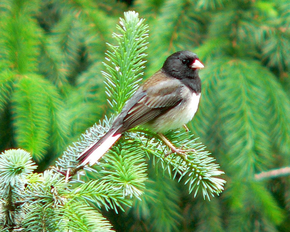 p1010775_edited.jpg