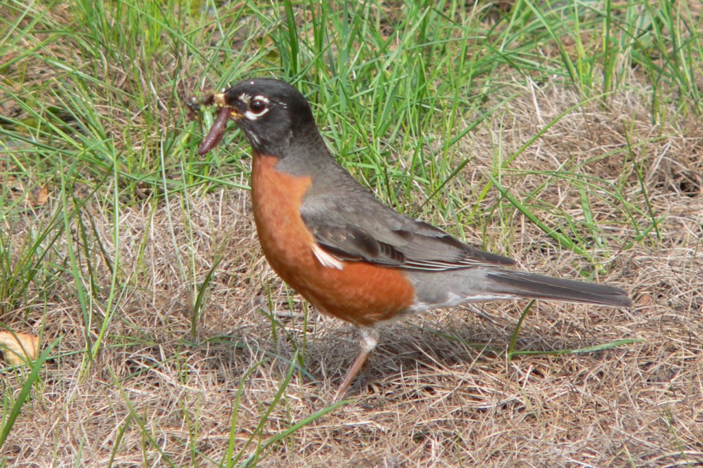 p1020309_edited.jpg