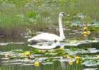 p1020656_edited_small.jpg