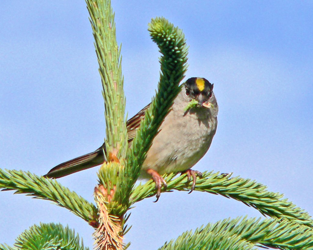 p1020740_edited.jpg