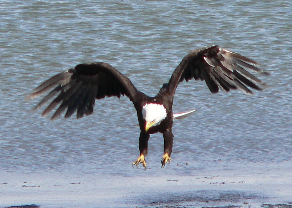 p1020887_edited.jpg