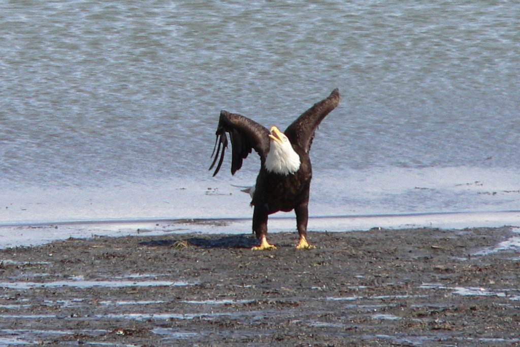 p1020889_edited.jpg