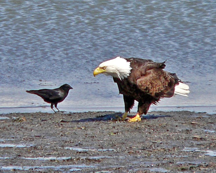 p1020896_edited.jpg