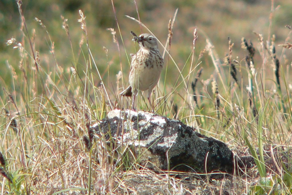p1030314_edited.jpg