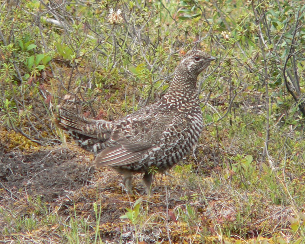 p1030750_edited.jpg