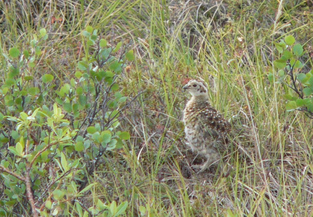 p1030845_edited1.jpg