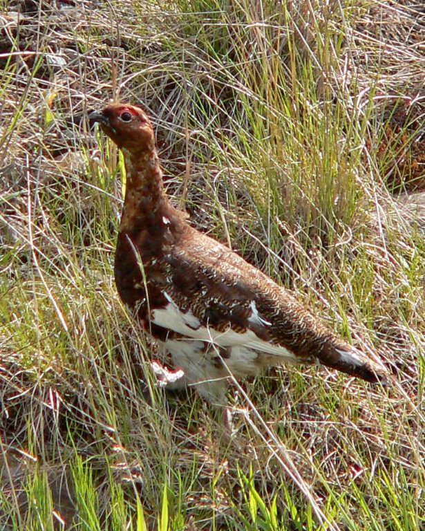 p1030863_edited.jpg