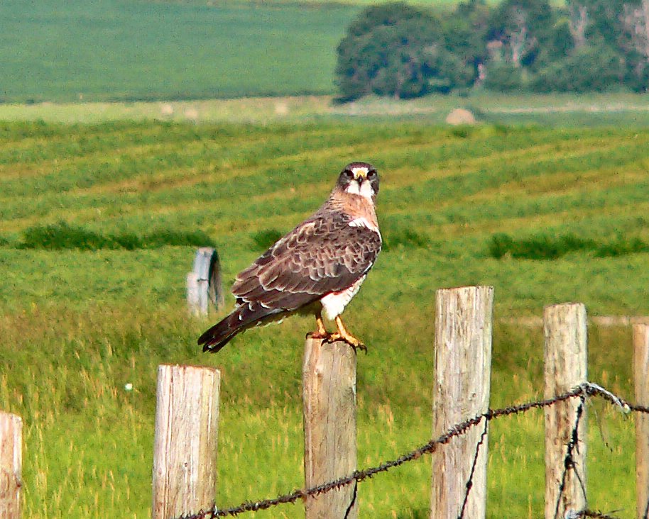 p1040721_edited.jpg