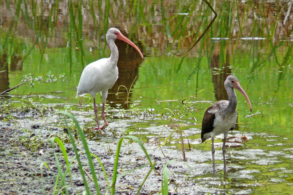 p1050981_edited.jpg