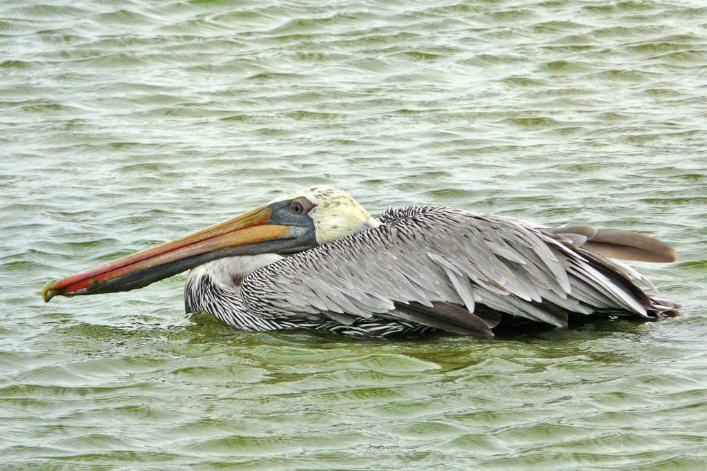 p1060080_edited.jpg