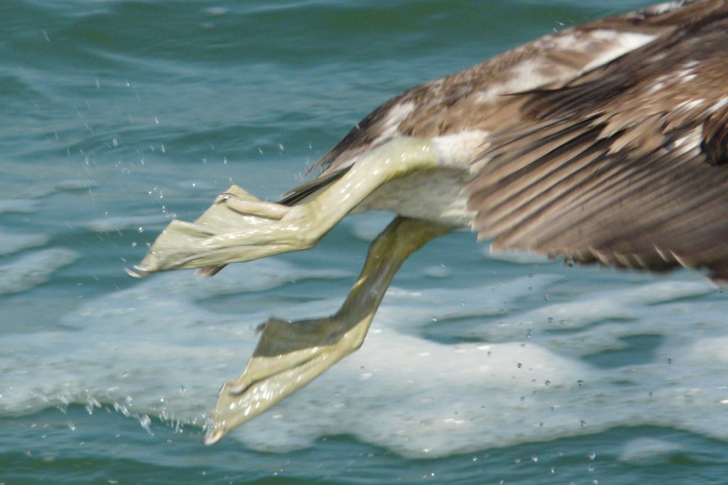 p1060272_edited.jpg