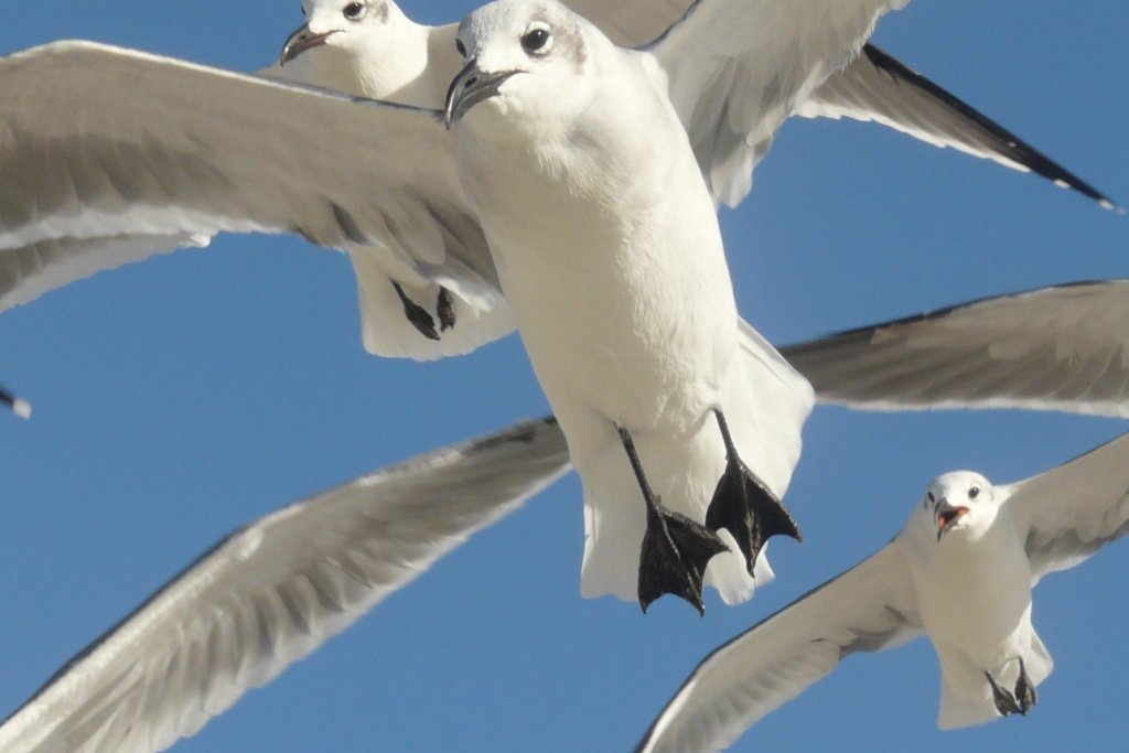 p1060354_edited.jpg