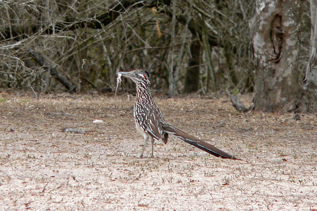 p1070455_edited.jpg