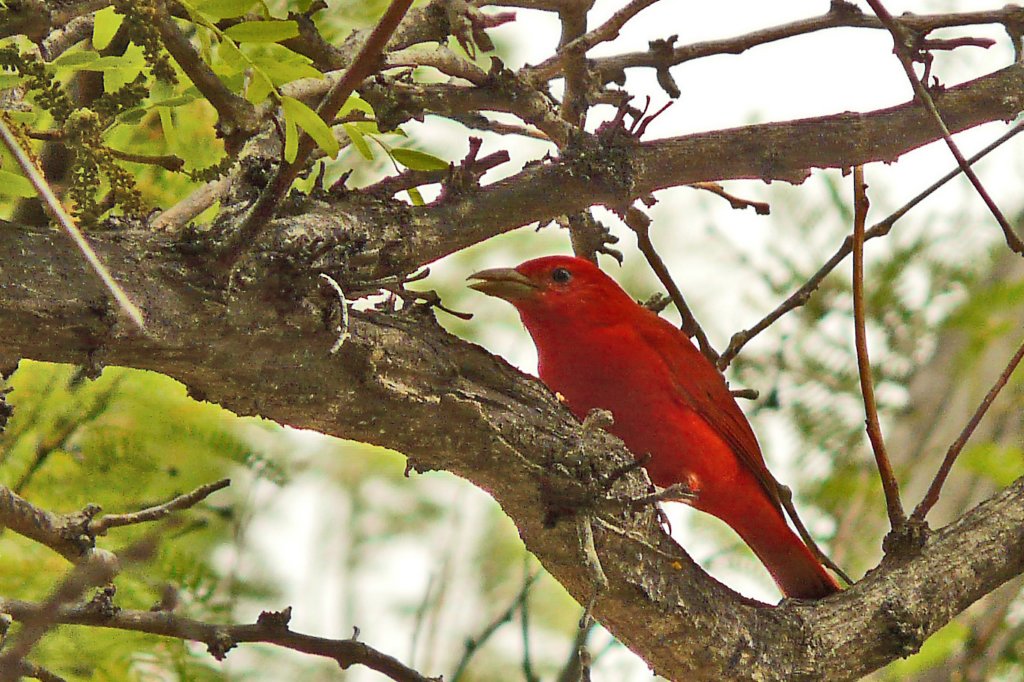 p1070548_edited3.jpg