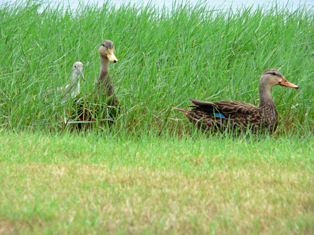 p1080770_edited.jpg