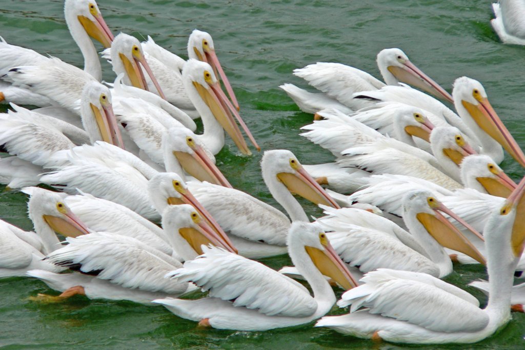 p1080841_edited.jpg