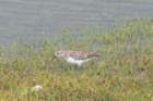 p1120068_edited_small.jpg