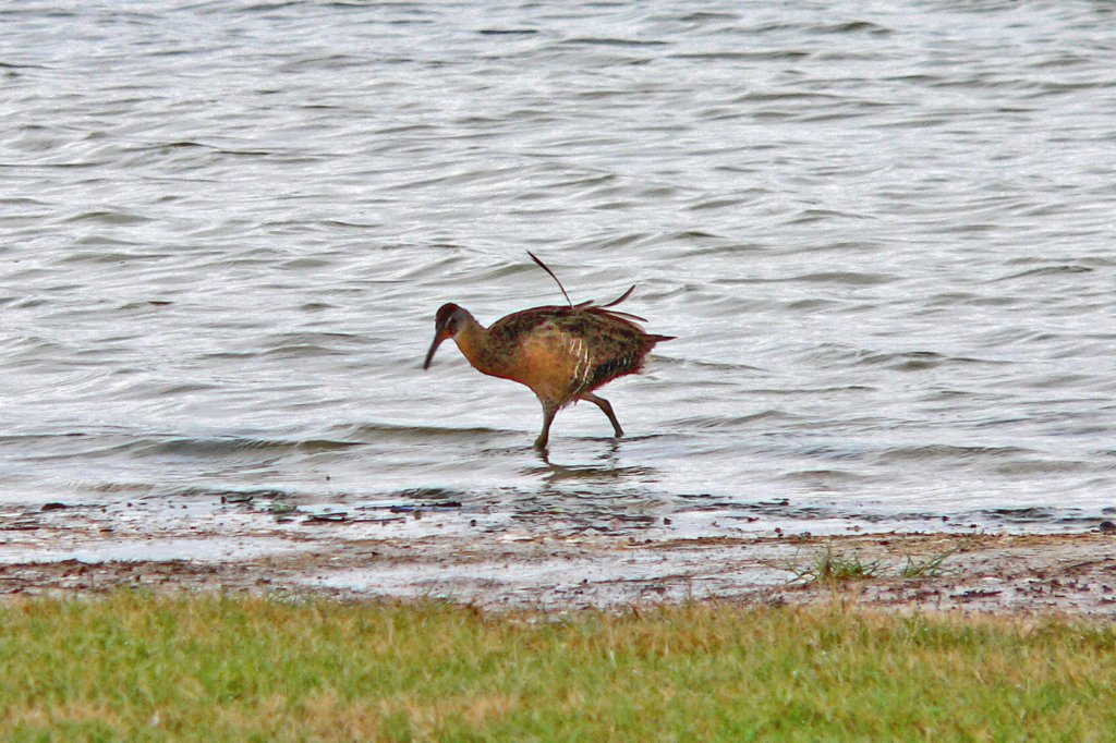 p1120134_edited_edited1.jpg