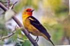 scannedphoto41_edited_small.jpg