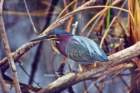 scannedphoto83_edited_small.jpg