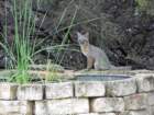 _0356_edited1_small.jpg