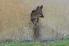 _0635_edited1_small.jpg