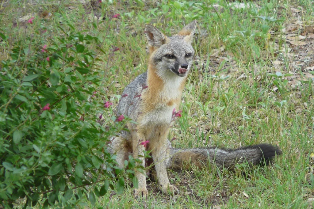 p1010761_edited.jpg