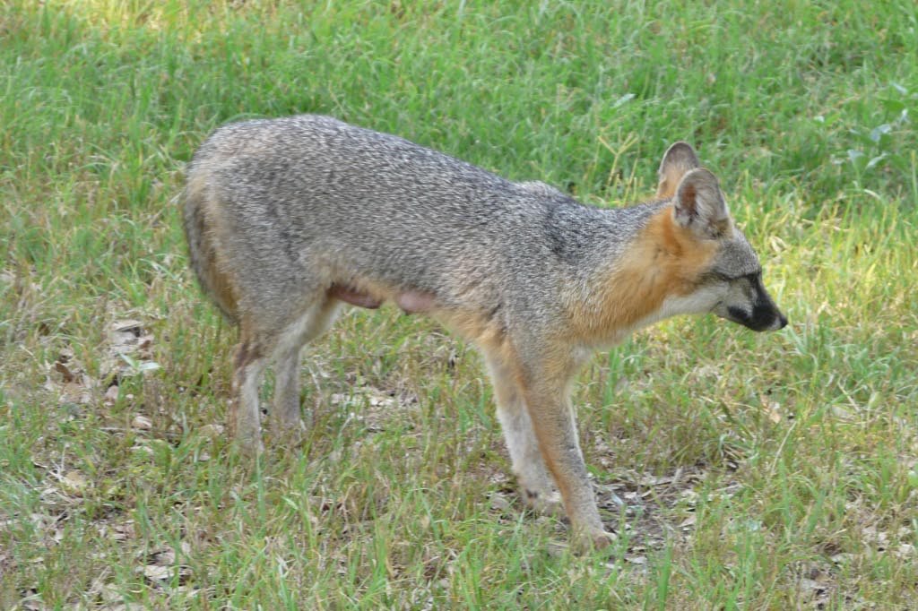 p1010763_edited.jpg