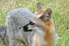 p1020125_edited_small.jpg