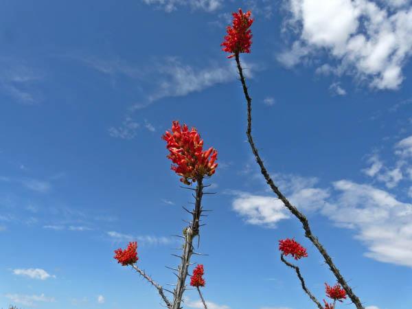 P1070400_edited