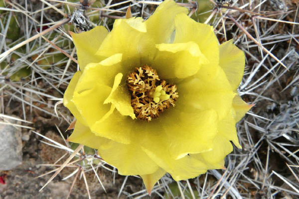 P1070563_edited