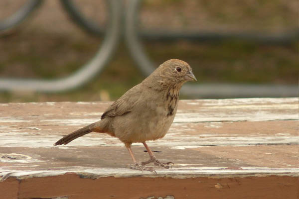 P1070675_edited