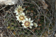 P1070347_edited
