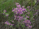 P1070351_edited