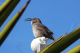 P1070357_edited
