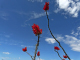 P1070400_edited