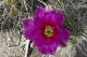 P1070401_edited